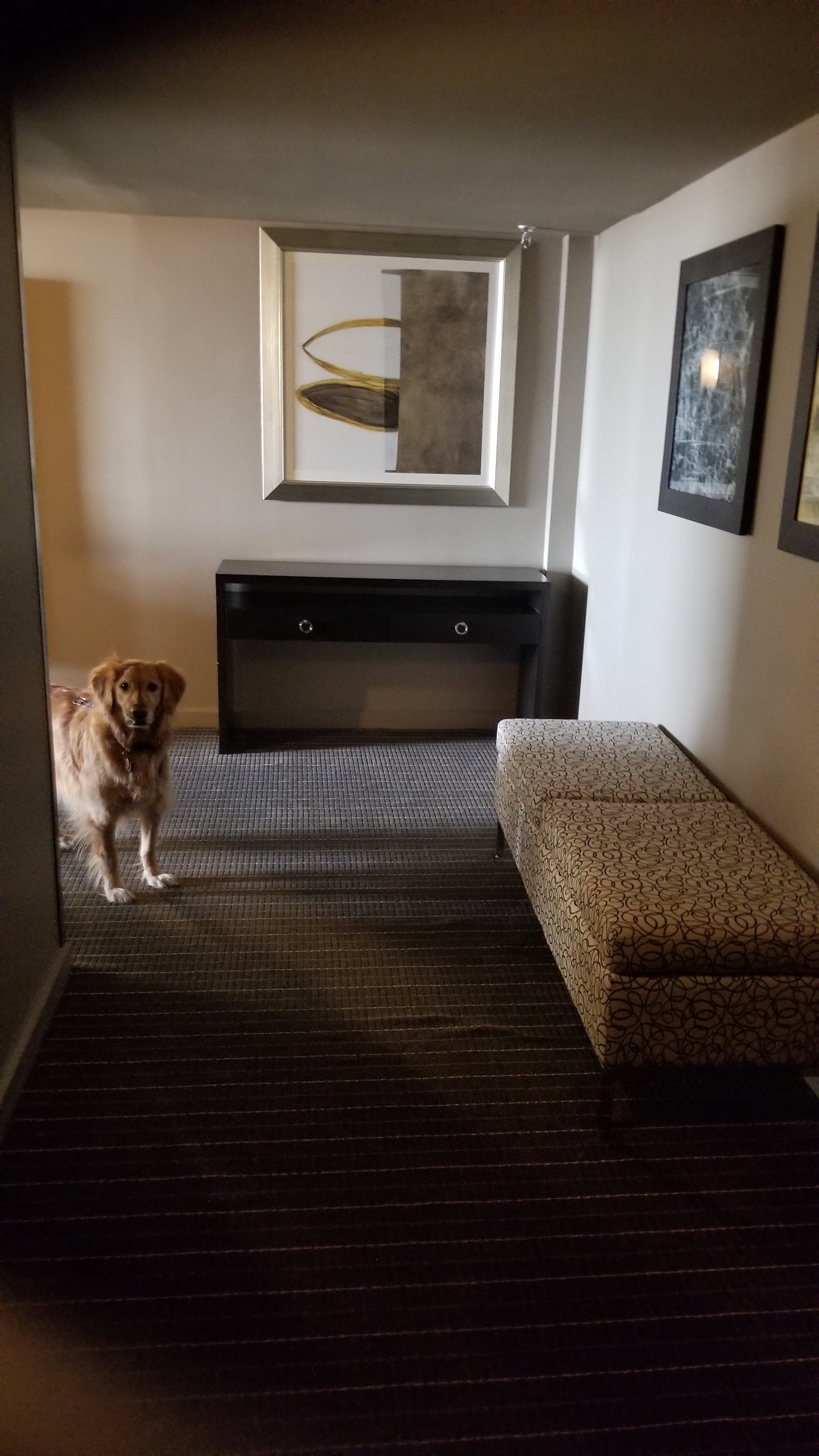 Louie memory